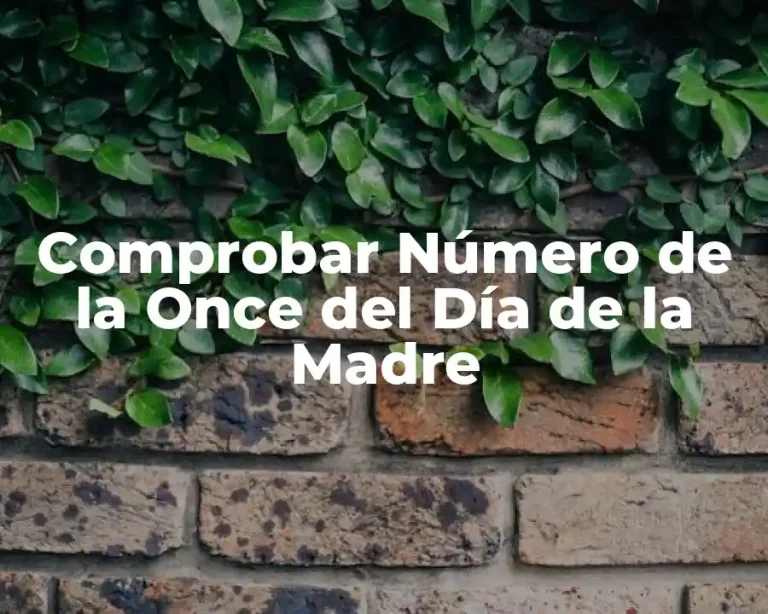 Comprobar Número de la Once del Día de la Madre