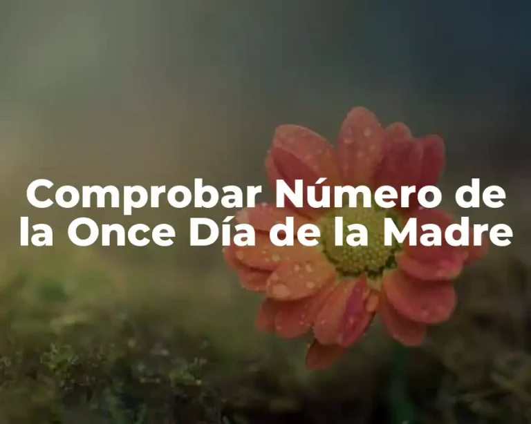 Comprobar Número de la Once Día de la Madre