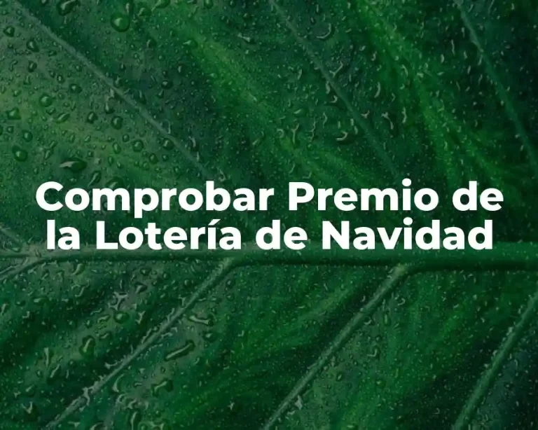 Comprobar Premio de la Lotería de Navidad
