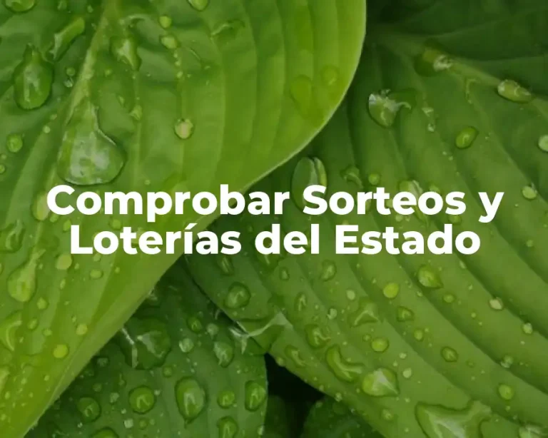 Comprobar Sorteos y Loterías del Estado