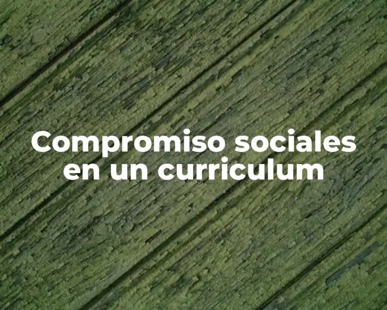 Compromiso sociales en un curriculum
