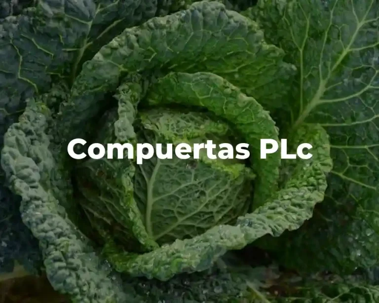 Compuertas PLc