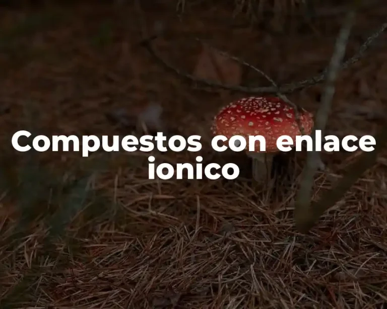 Compuestos con enlace ionico