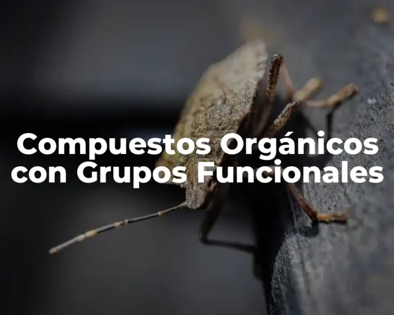Compuestos Orgánicos con Grupos Funcionales