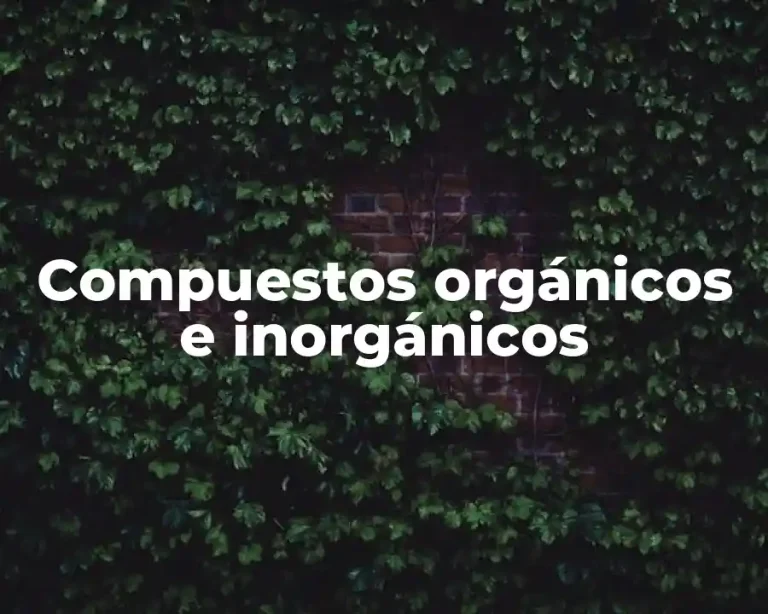 Compuestos orgánicos e inorgánicos