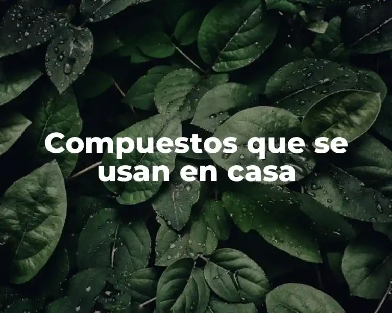 Compuestos que se usan en casa