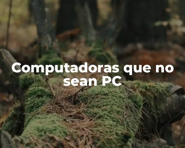 Computadoras que no sean PC