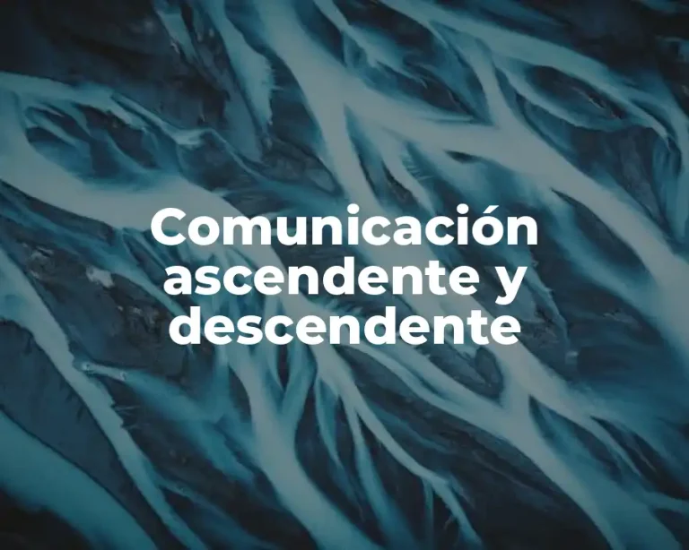 Comunicación ascendente y descendente