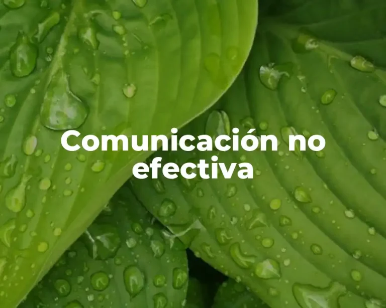 Comunicación no efectiva