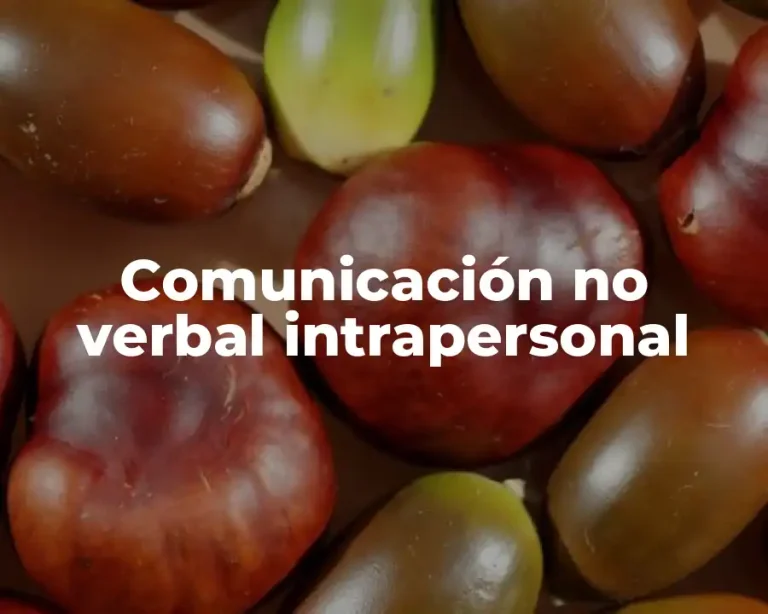 Comunicación no verbal intrapersonal