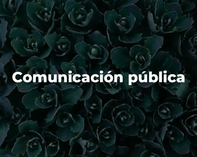 Comunicación pública
