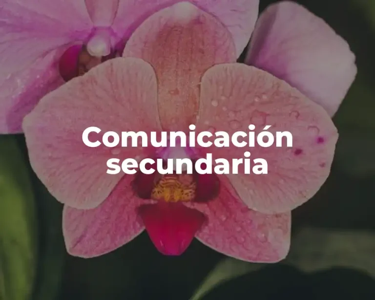 Comunicación secundaria