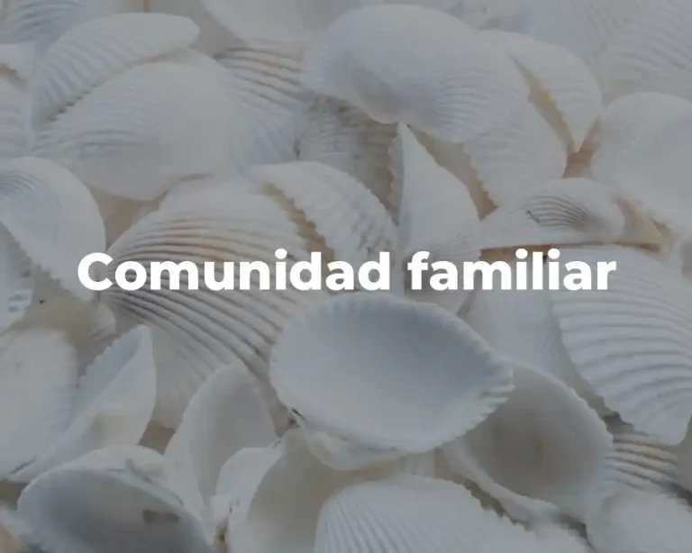 Comunidad familiar