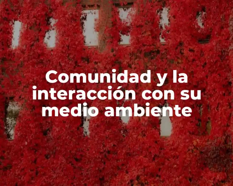 Comunidad y la interacción con su medio ambiente