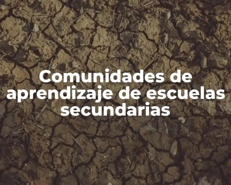 Comunidades de aprendizaje de escuelas secundarias