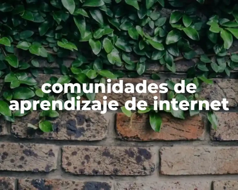 comunidades de aprendizaje de internet