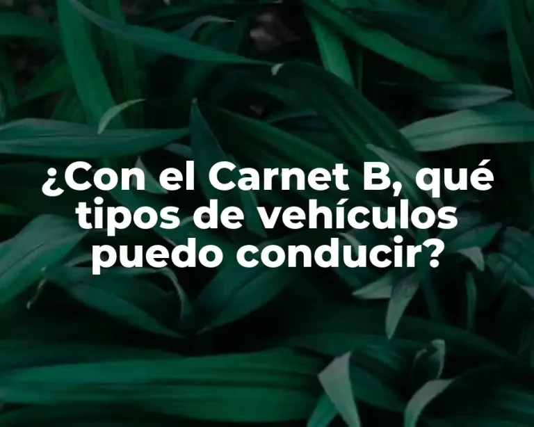 ¿Con el Carnet B, qué tipos de vehículos puedo conducir?