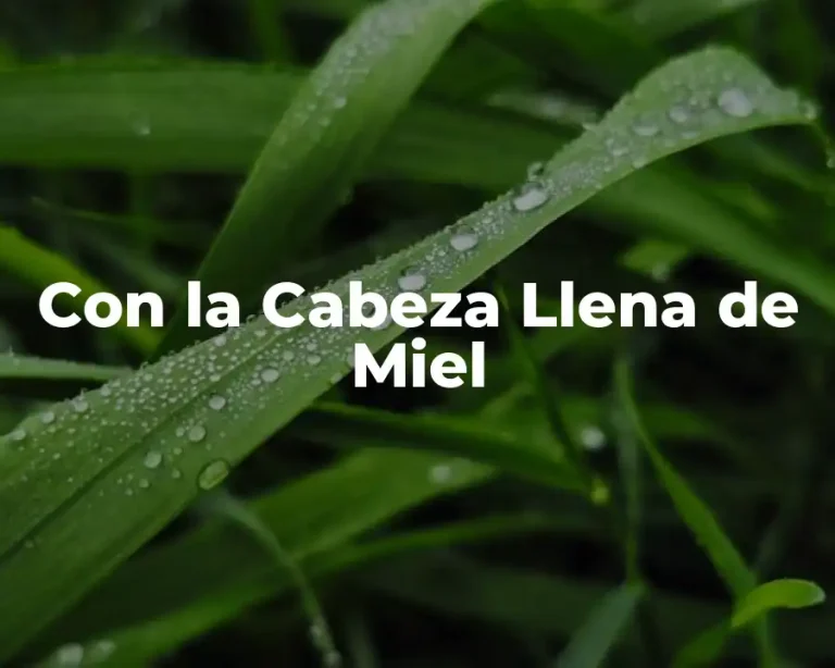 Con la Cabeza Llena de Miel
