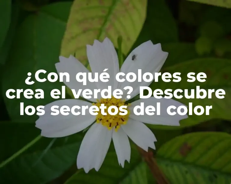 ¿Con qué colores se crea el verde? Descubre los secretos del color