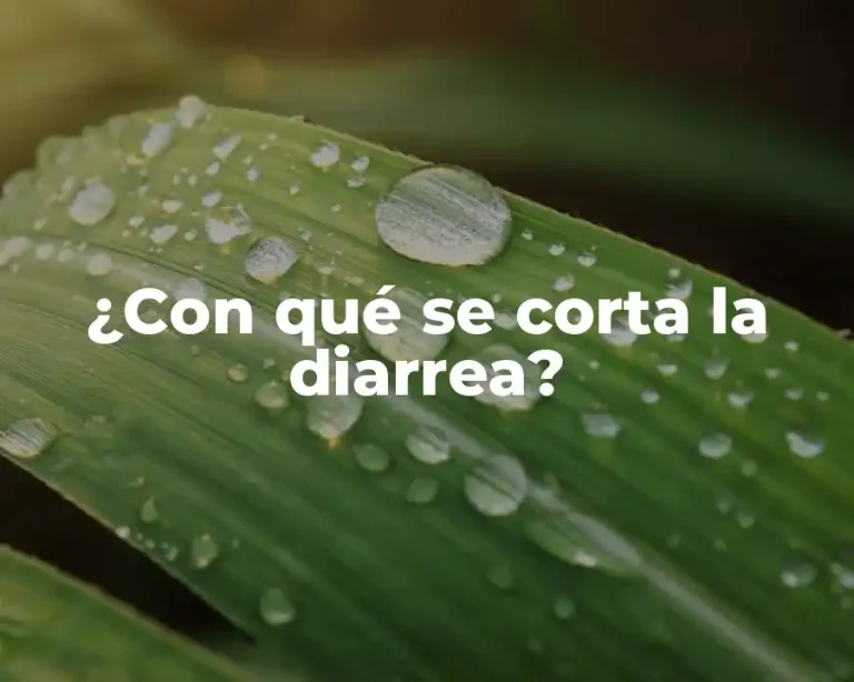 ¿Con qué se corta la diarrea?