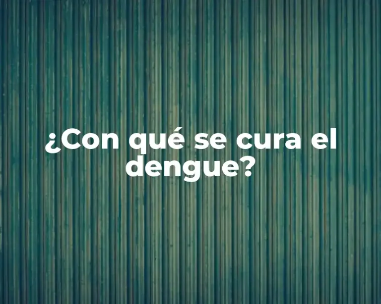 ¿Con qué se cura el dengue?