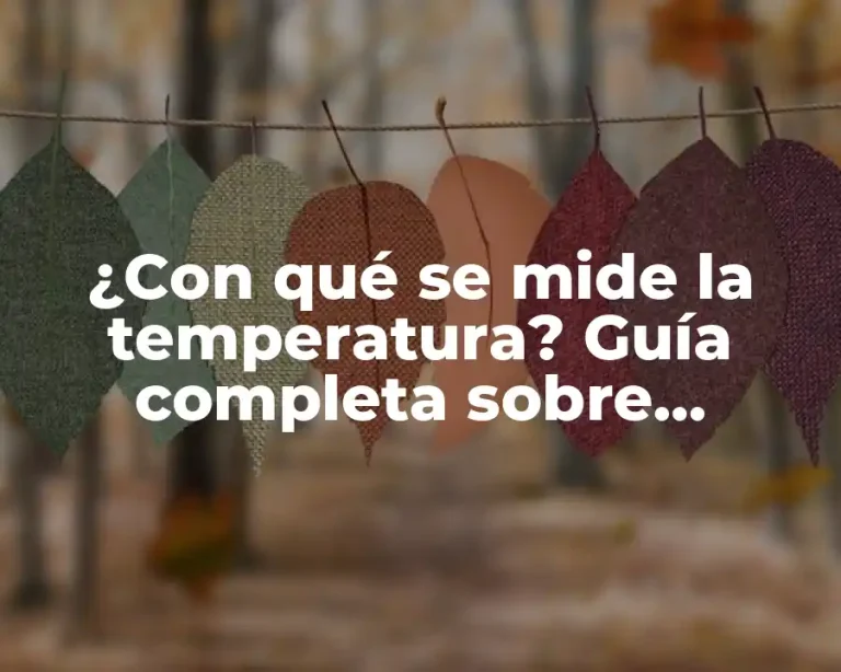 ¿Con qué se mide la temperatura? Guía completa sobre termómetros y más