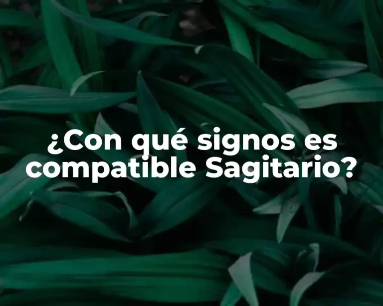¿Con qué signos es compatible Sagitario?