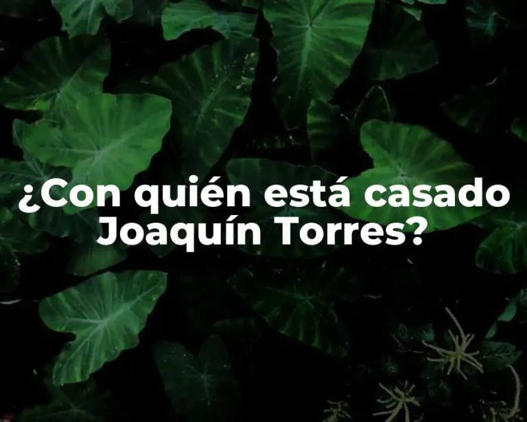 ¿Con quién está casado Joaquín Torres?