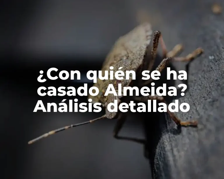 ¿Con quién se ha casado Almeida? Análisis detallado