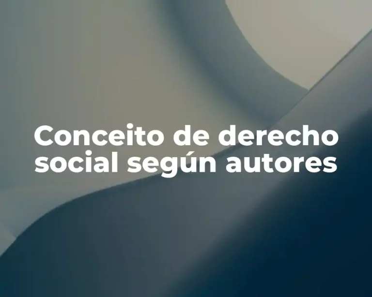 Conceito de derecho social según autores