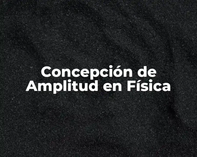 Concepción de Amplitud en Física