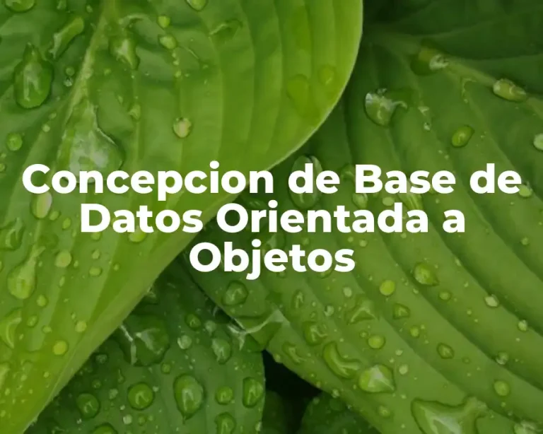 Concepcion de Base de Datos Orientada a Objetos