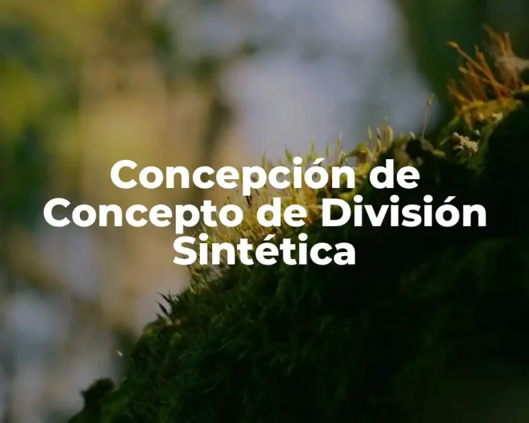 Concepción de Concepto de División Sintética