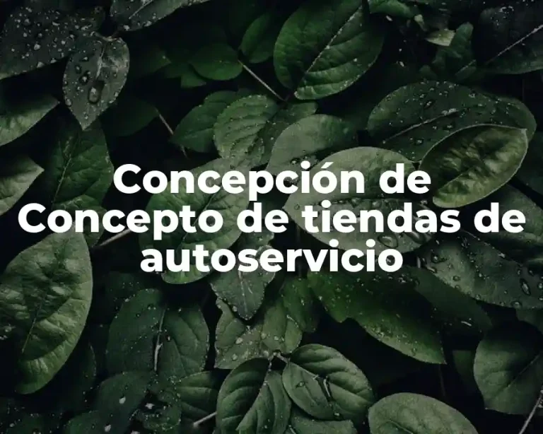 Concepción de Concepto de tiendas de autoservicio