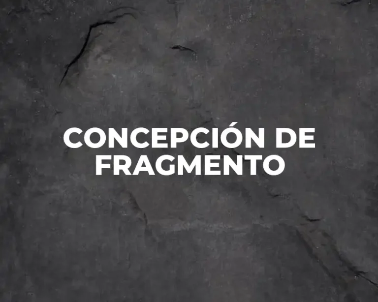 CONCEPCIÓN DE FRAGMENTO