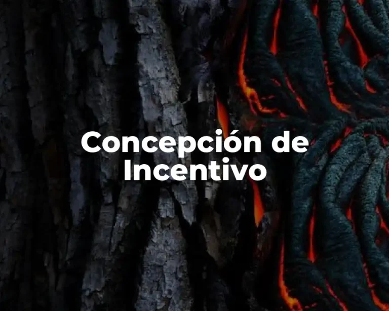 Concepción de Incentivo