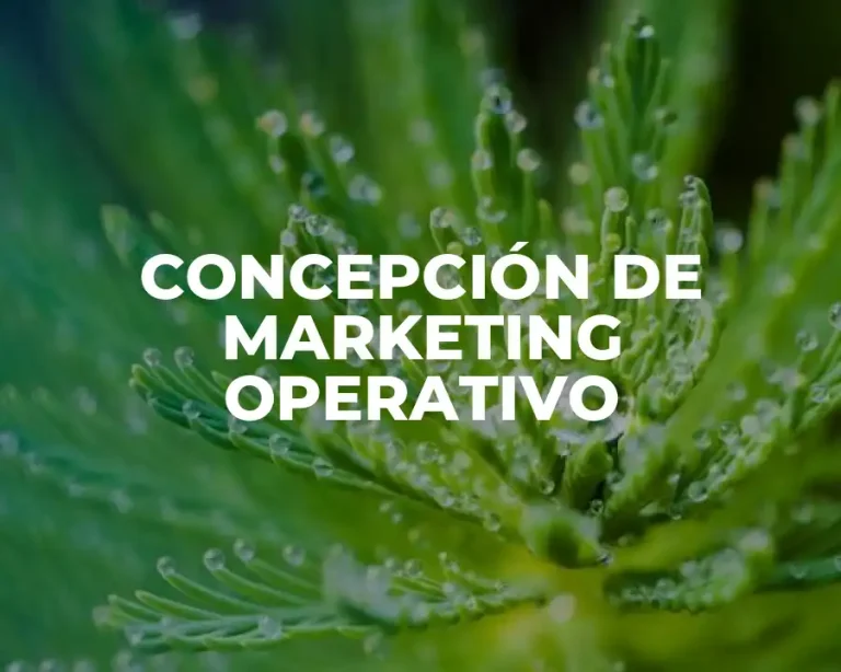 CONCEPCIÓN DE MARKETING OPERATIVO
