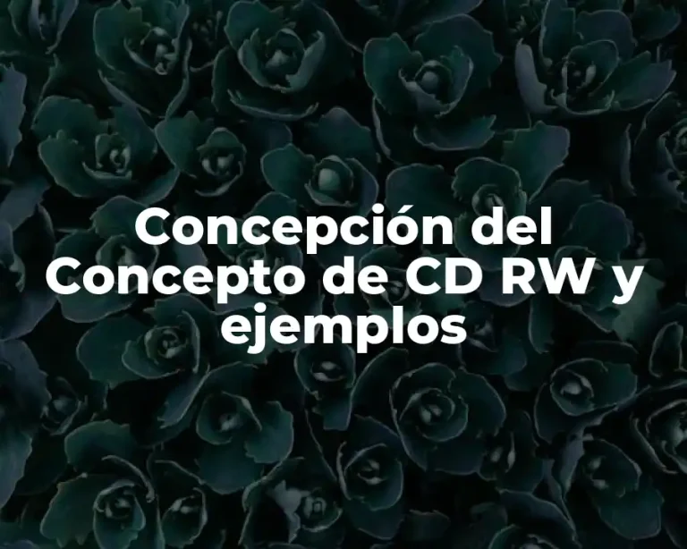 Concepción del Concepto de CD RW y ejemplos