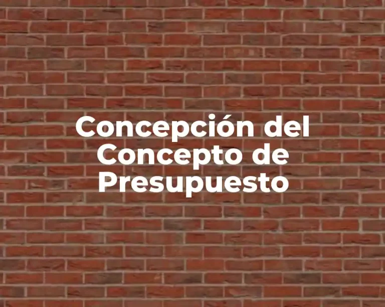 Concepción del Concepto de Presupuesto