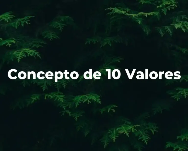 Concepto de 10 Valores
