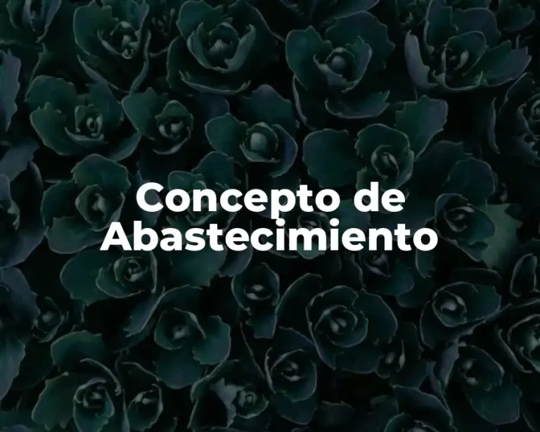 Concepto de Abastecimiento