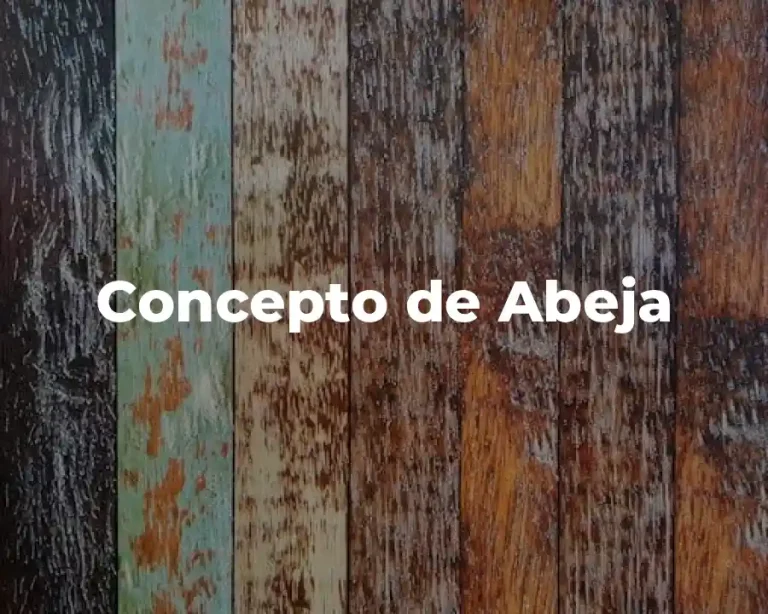 Concepto de Abeja