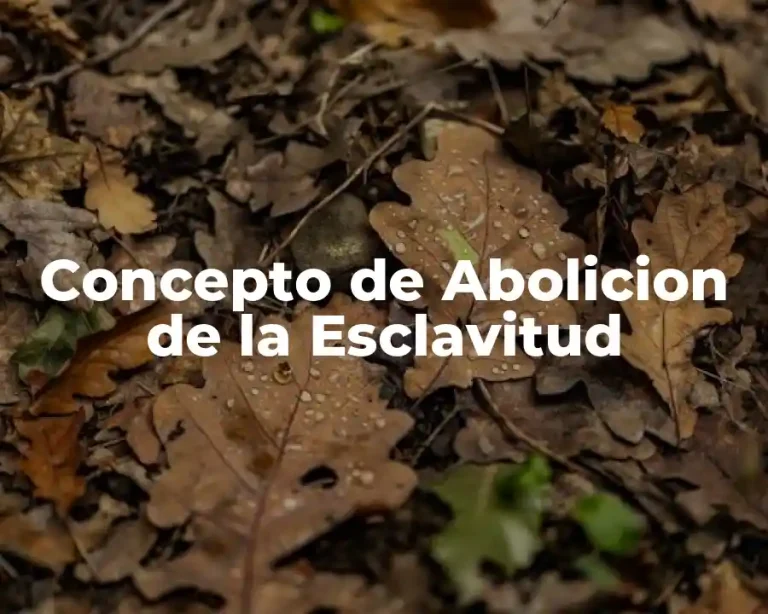Concepto de Abolicion de la Esclavitud