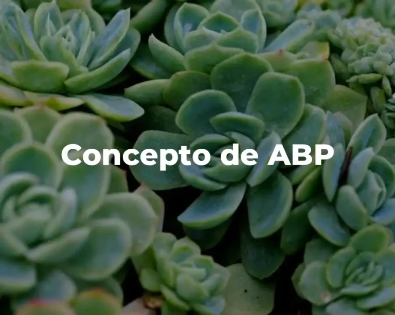 Concepto de ABP