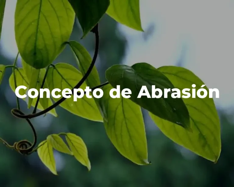 Concepto de Abrasión