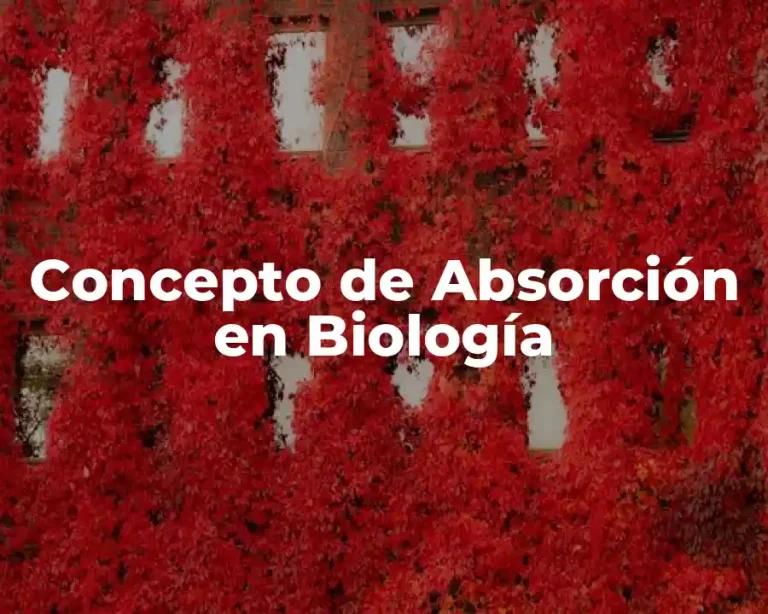 Concepto de Absorción en Biología