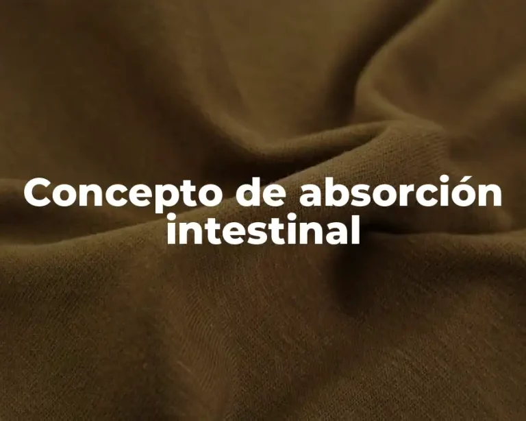 Concepto de absorción intestinal