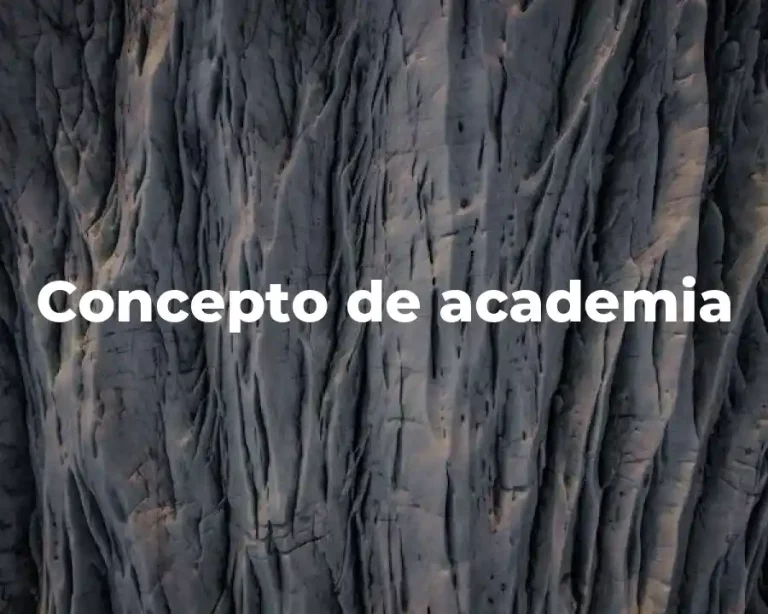 Concepto de academia