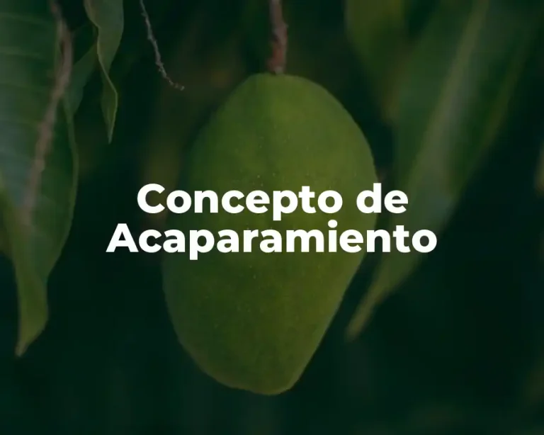 Concepto de Acaparamiento