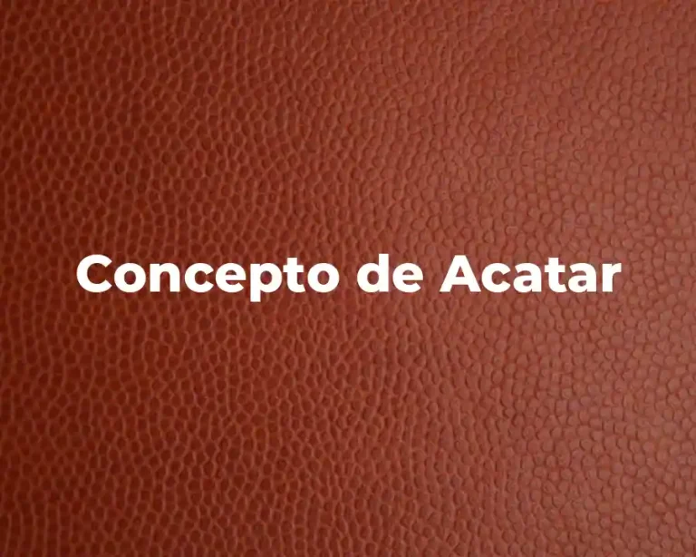 Concepto de Acatar
